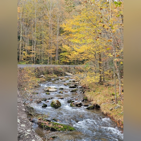 Welcome! - Picture 2 of 11